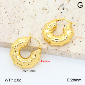 2E2006739vbmb-355  Stainless Steel Earrings