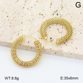 2E2006740vbnb-355  Stainless Steel Earrings