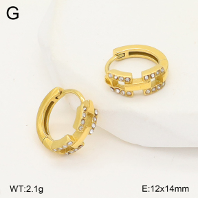 2E4004957vhkb-226  Stainless Steel Earrings