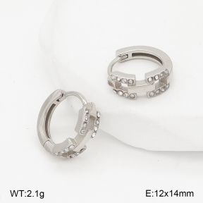 2E4004958bhia-226  Stainless Steel Earrings