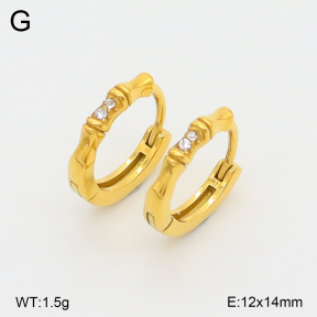 2E4004959ahjb-226  Stainless Steel Earrings