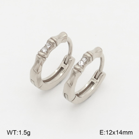 2E4004960vhha-226  Stainless Steel Earrings