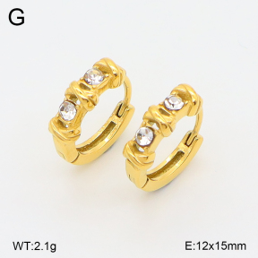 2E4004961ahjb-226  Stainless Steel Earrings
