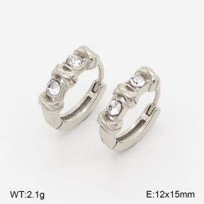 2E4004962vhha-226  Stainless Steel Earrings