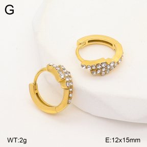2E4004963vhkb-226  Stainless Steel Earrings