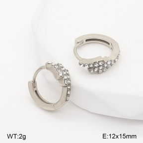2E4004964bhia-226  Stainless Steel Earrings