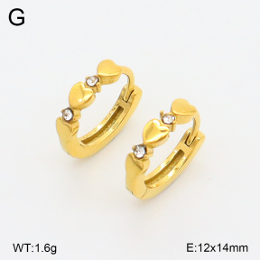 2E4004965ahjb-226  Stainless Steel Earrings