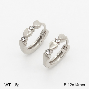 2E4004966vhha-226  Stainless Steel Earrings