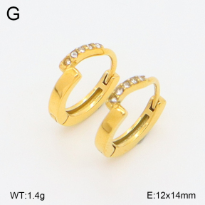2E4004967ahjb-226  Stainless Steel Earrings
