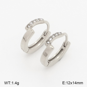 2E4004968vhha-226  Stainless Steel Earrings