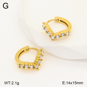 2E4004969ahjb-226  Stainless Steel Earrings