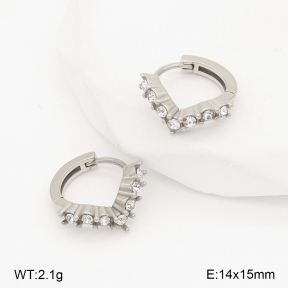 2E4004970vhha-226  Stainless Steel Earrings