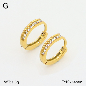 2E4004971ahjb-226  Stainless Steel Earrings