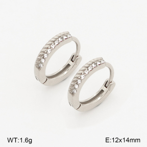 2E4004972vhha-226  Stainless Steel Earrings