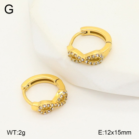 2E4004973ahjb-226  Stainless Steel Earrings