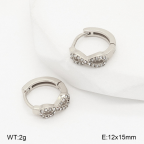 2E4004974vhha-226  Stainless Steel Earrings