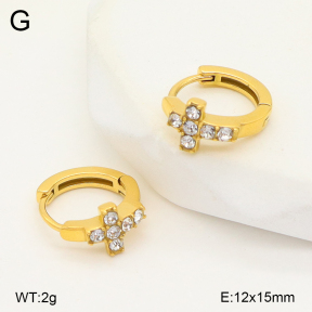 2E4004975ahjb-226  Stainless Steel Earrings