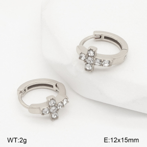 2E4004976vhha-226  Stainless Steel Earrings