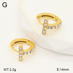 2E4004977ahjb-226  Stainless Steel Earrings
