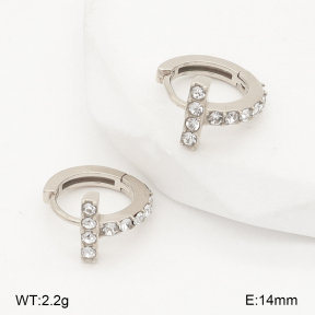 2E4004978vhha-226  Stainless Steel Earrings