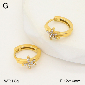 2E4004979ahjb-226  Stainless Steel Earrings
