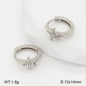 2E4004980vhha-226  Stainless Steel Earrings