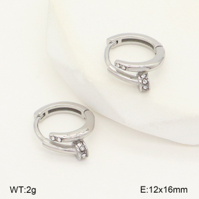 2E4004981vhha-226  Stainless Steel Earrings