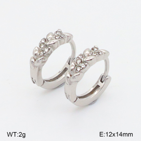 2E4004982vhha-226  Stainless Steel Earrings