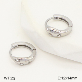 2E4004983vhha-226  Stainless Steel Earrings