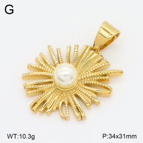 2P3000820vhha-360  Stainless Steel Pendant