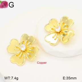 F2E402235vbnb-J22  Fashion Copper Earrings