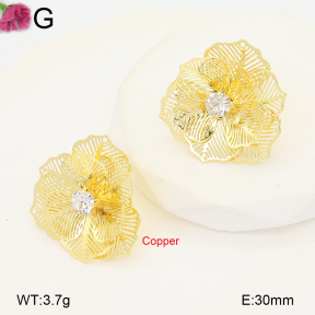 F2E402236vbnb-J22  Fashion Copper Earrings