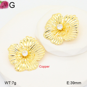 F2E402237vbnb-J22  Fashion Copper Earrings