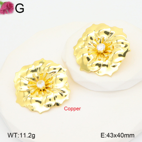 F2E402239vbnb-J22  Fashion Copper Earrings