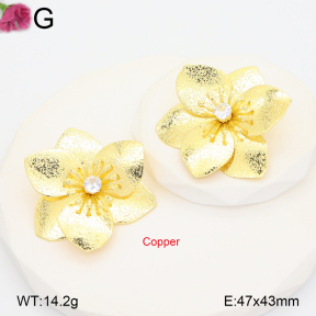F2E402240vbnb-J22  Fashion Copper Earrings