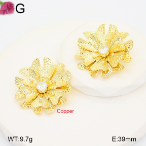 F2E402242vbnb-J22  Fashion Copper Earrings