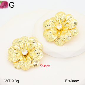 F2E402243vbnb-J22  Fashion Copper Earrings