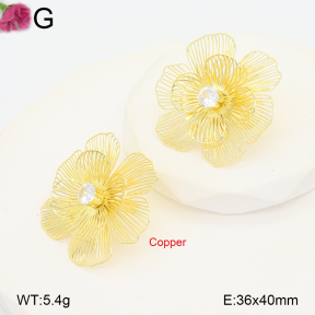 F2E402244vbnb-J22  Fashion Copper Earrings