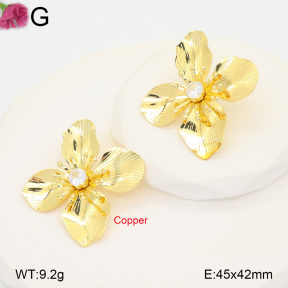 F2E402245vbnb-J22  Fashion Copper Earrings