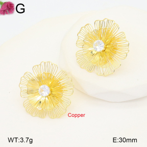 F2E402246vbnb-J22  Fashion Copper Earrings