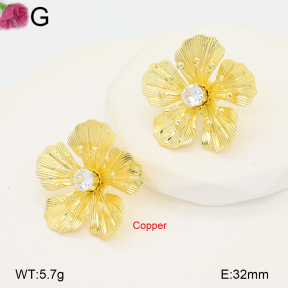 F2E402247vbnb-J22  Fashion Copper Earrings