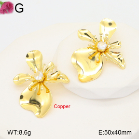 F2E402248vbnb-J22  Fashion Copper Earrings