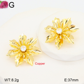 F2E402249vbnb-J22  Fashion Copper Earrings