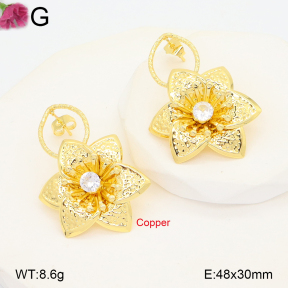 F2E402251vbnb-J22  Fashion Copper Earrings
