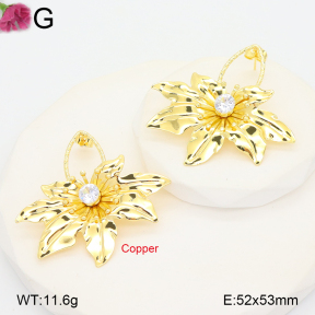 F2E402252vbnb-J22  Fashion Copper Earrings