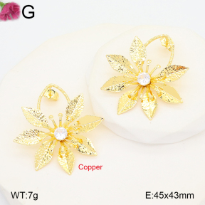 F2E402253vbnb-J22  Fashion Copper Earrings