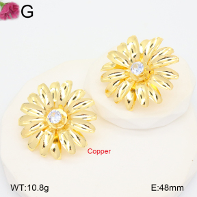 F2E402255vbnb-J22  Fashion Copper Earrings