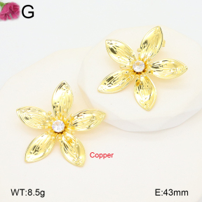 F2E402256vbnb-J22  Fashion Copper Earrings
