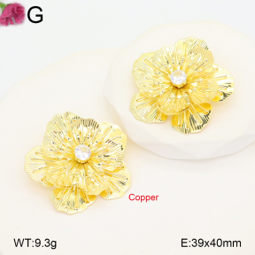 F2E402257vbnb-J22  Fashion Copper Earrings