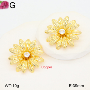 F2E402258vbnb-J22  Fashion Copper Earrings